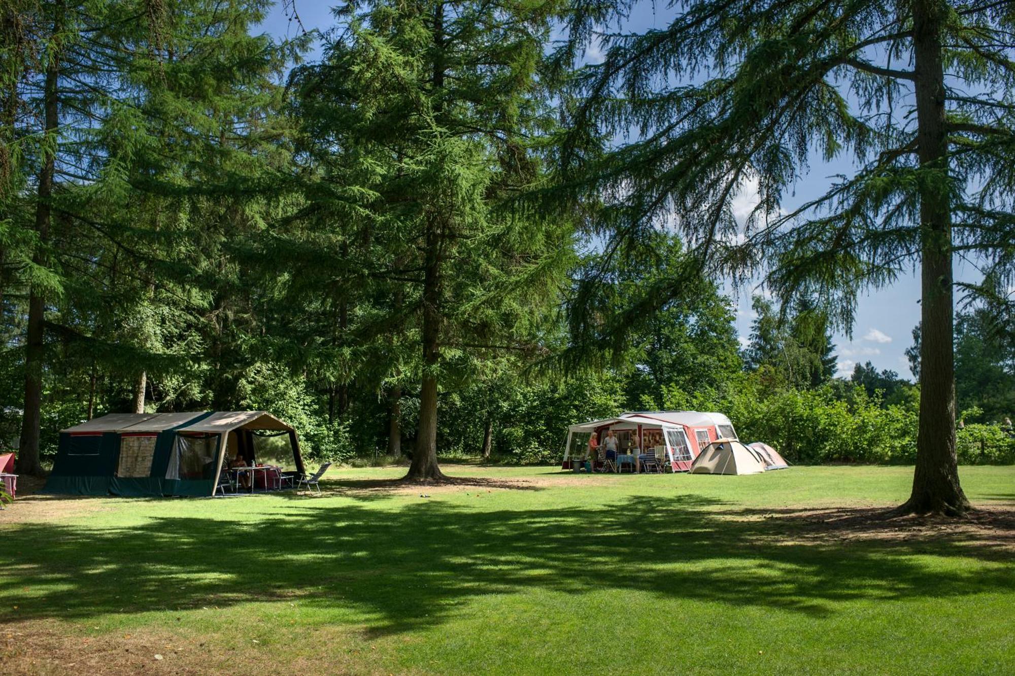 Rcn Vakantiepark De Roggeberg Appelscha Εξωτερικό φωτογραφία