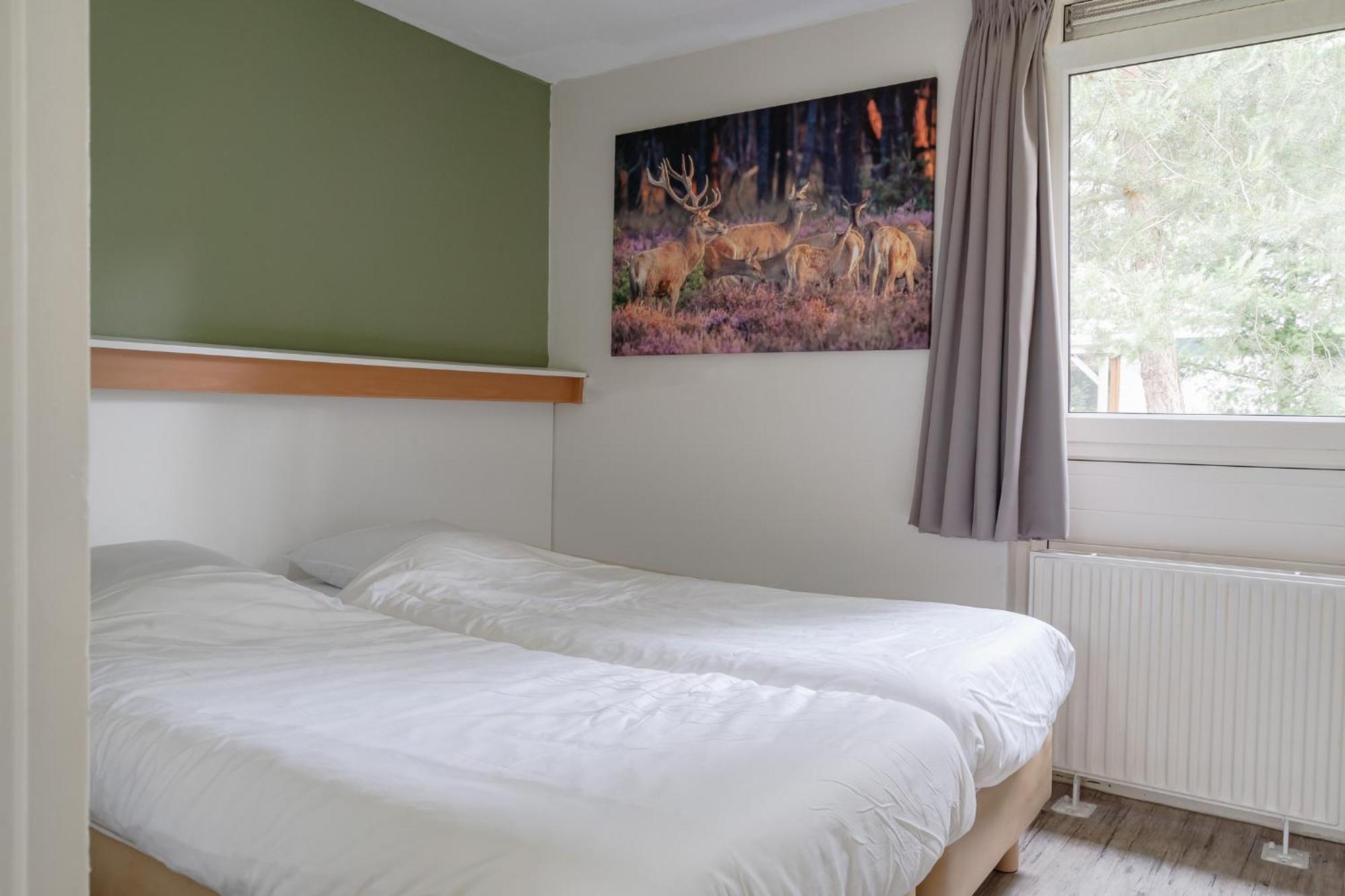 Rcn Vakantiepark De Roggeberg Appelscha Εξωτερικό φωτογραφία