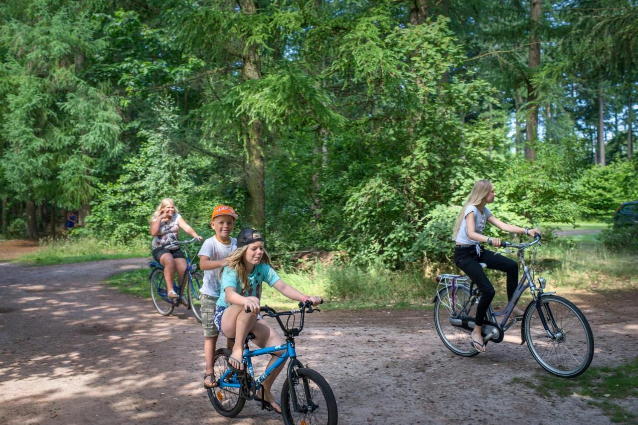 Rcn Vakantiepark De Roggeberg Appelscha Εξωτερικό φωτογραφία